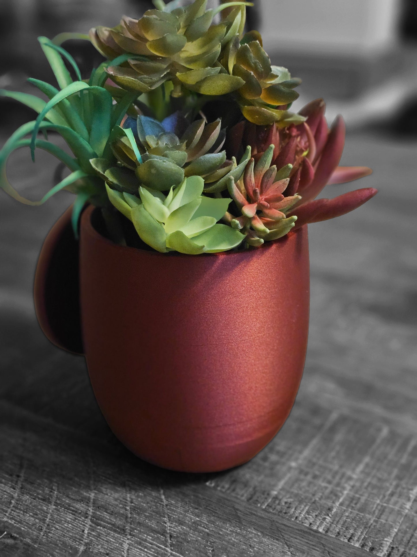 Wall Hanging 4.5 inch Flower Pot W/water tray