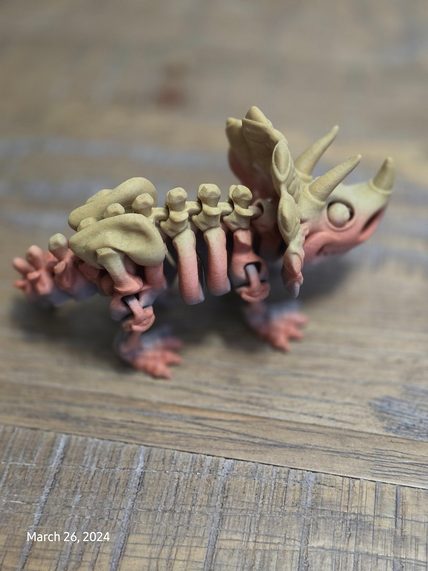 Paleontologist Dinosaur Display Fidget Toy T-Rex Stegosaurus Triceratops