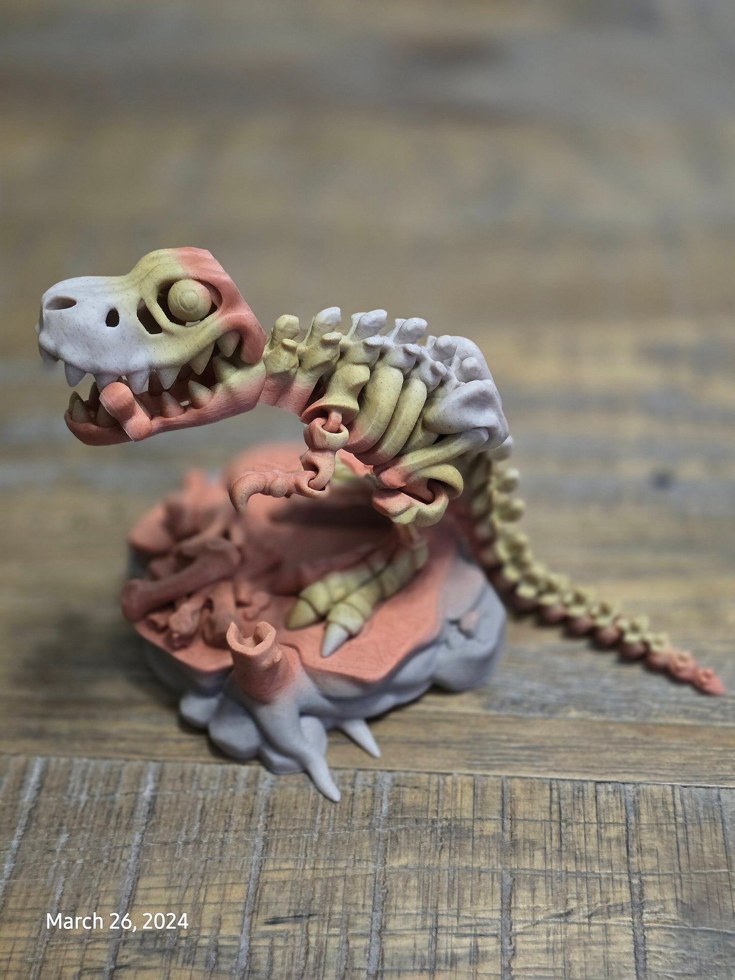 Paleontologist Dinosaur Display Fidget Toy T-Rex Stegosaurus Triceratops