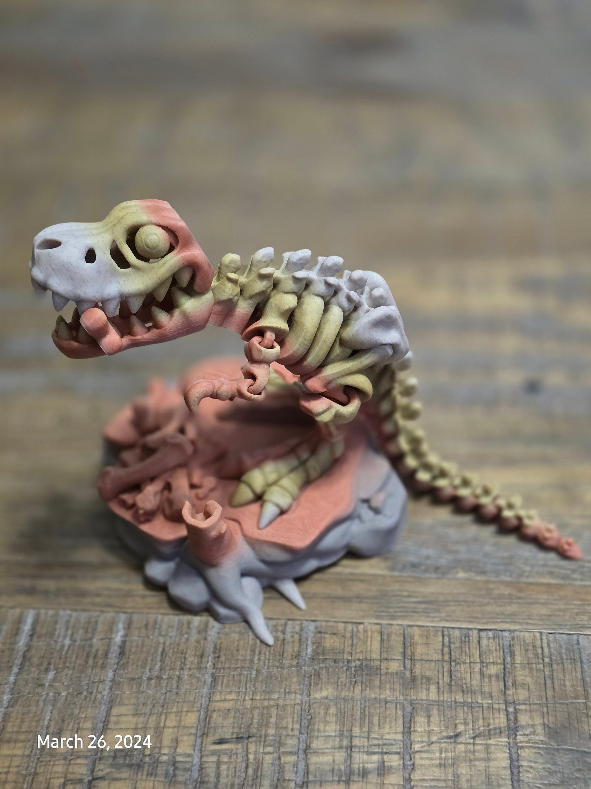Paleontologist Dinosaur Display Fidget Toy T-Rex Stegosaurus Triceratops
