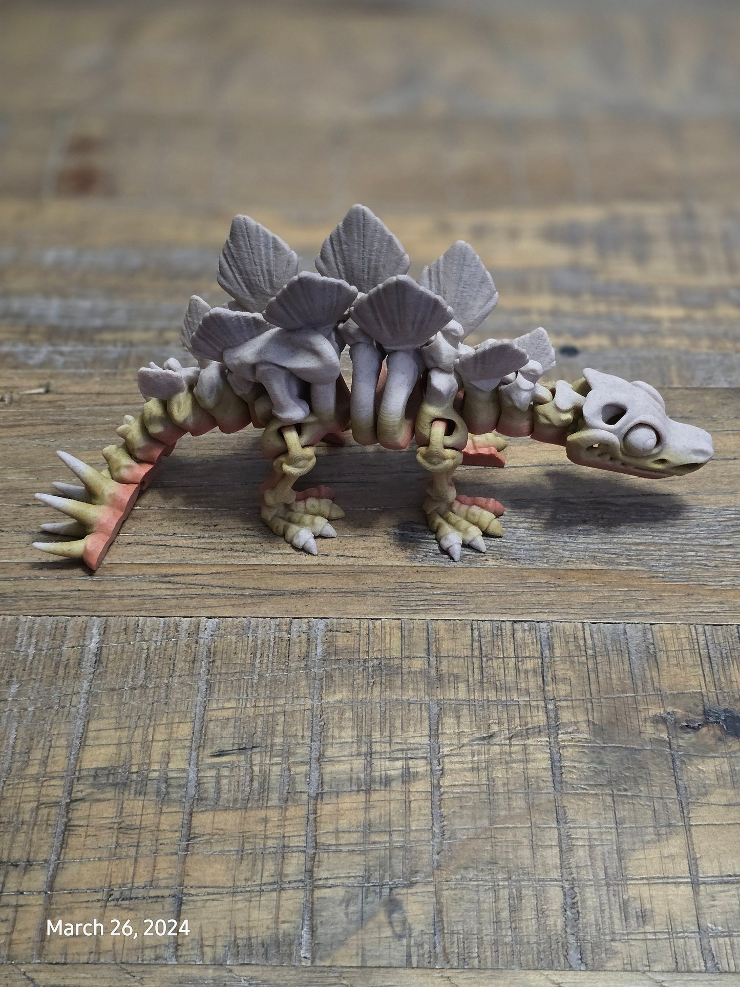 Paleontologist Dinosaur Display Fidget Toy T-Rex Stegosaurus Triceratops