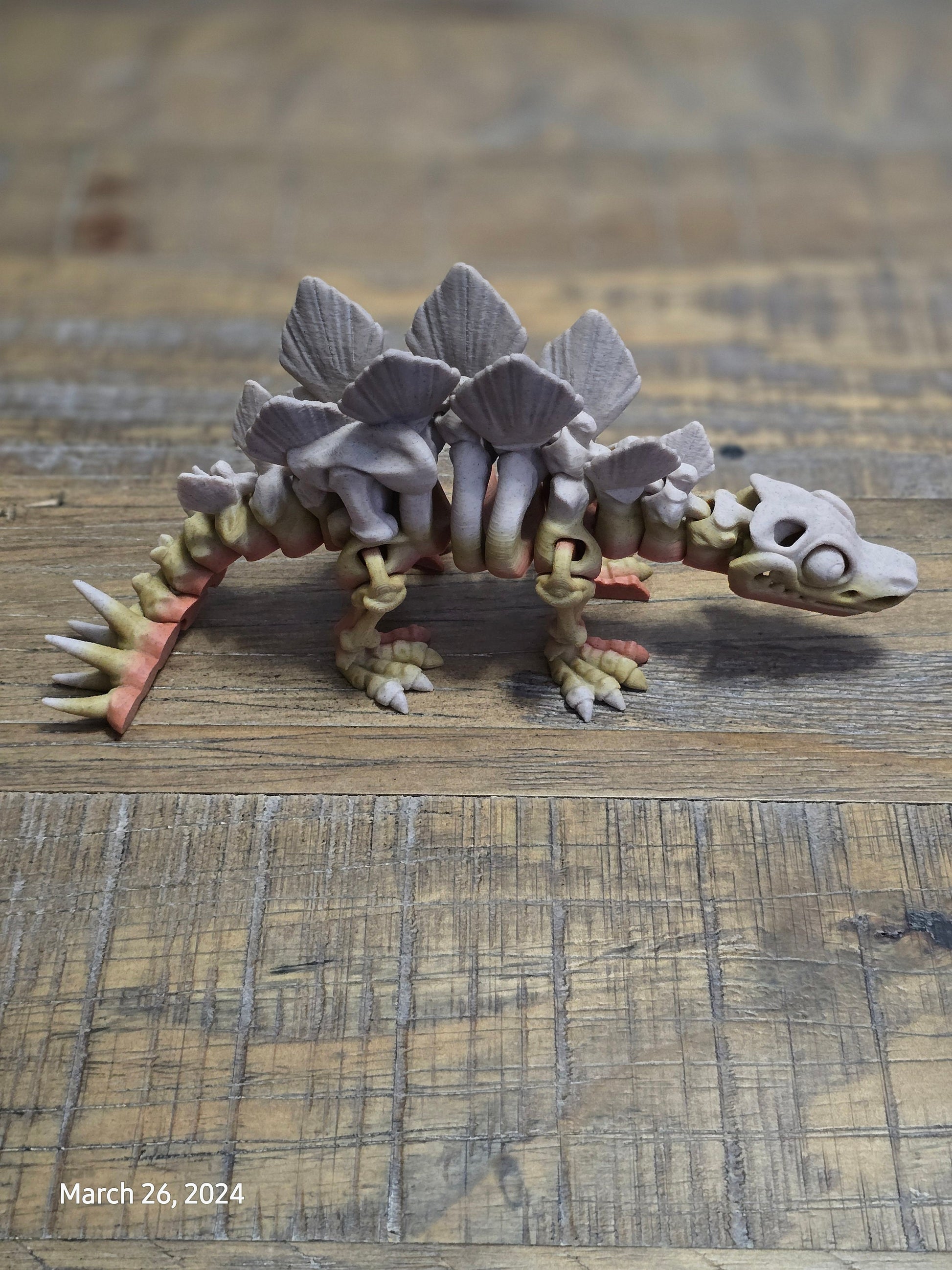 Paleontologist Dinosaur Display Fidget Toy T-Rex Stegosaurus Triceratops