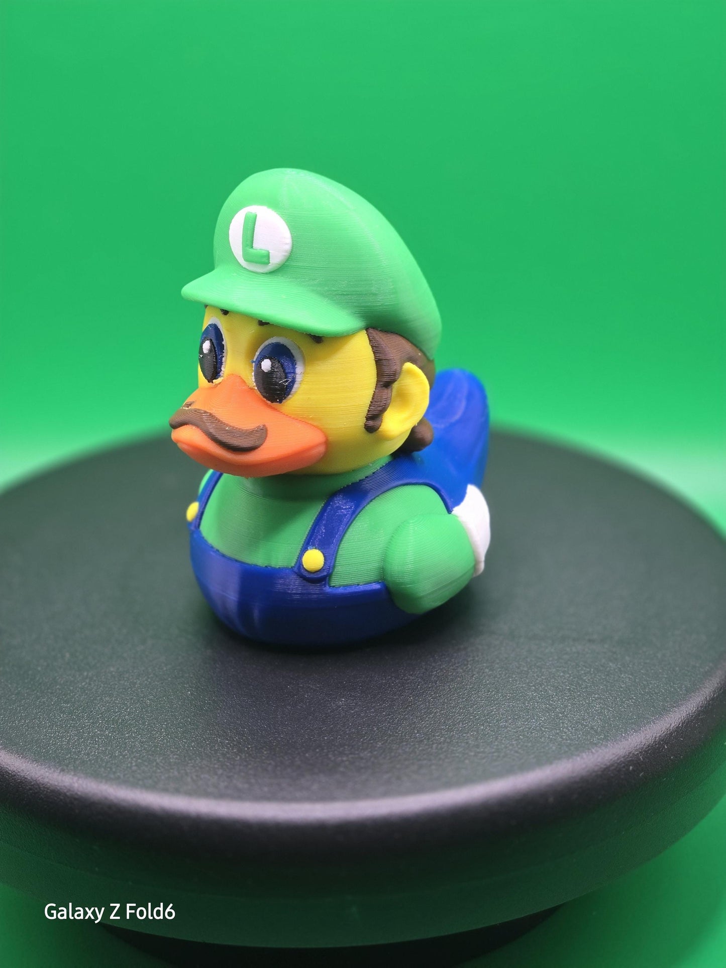 Mario & Luigi Ducks Duck