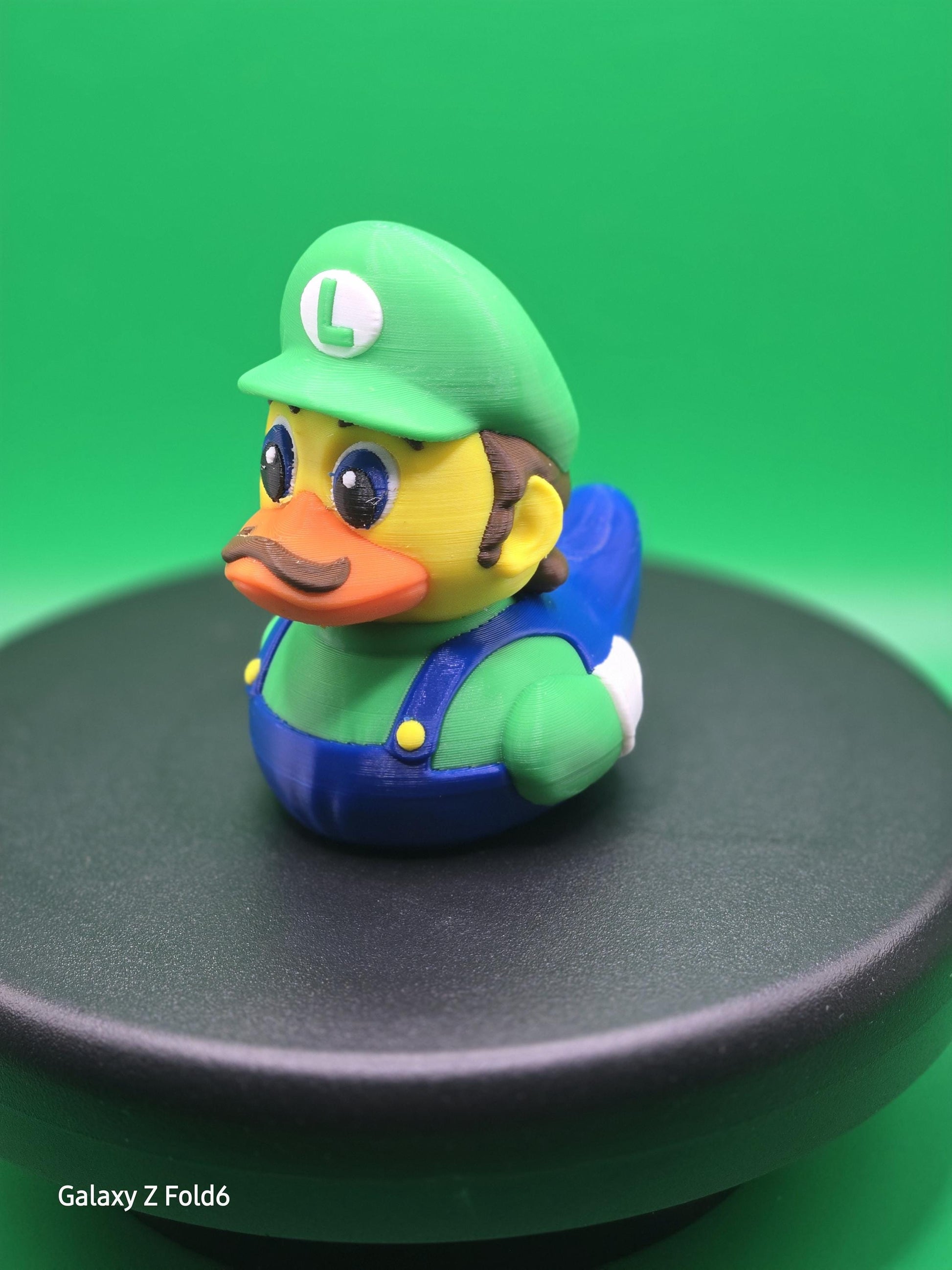 Mario & Luigi Ducks Duck