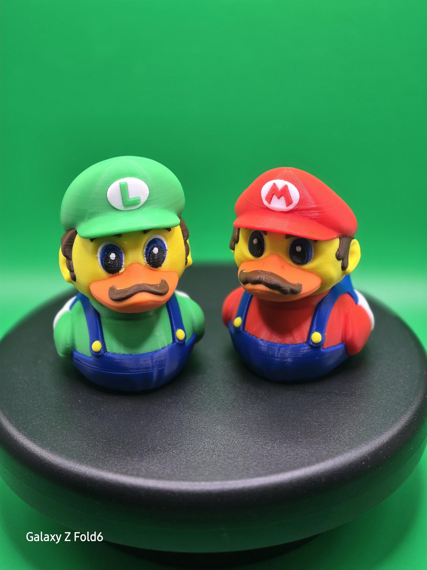 Mario & Luigi Ducks Duck